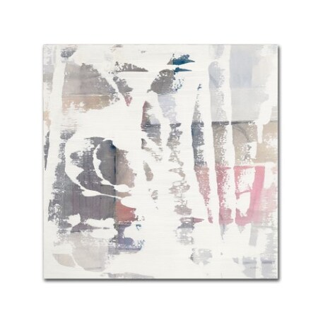 Trademark Fine Art Mike Schick 'White Out Crop' Canvas Art, 24x24 WAP0280-C2424GG